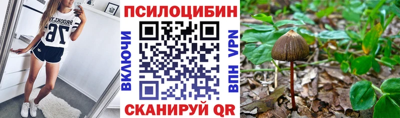 Галлюциногенные грибы MAGIC MUSHROOMS Нестеров