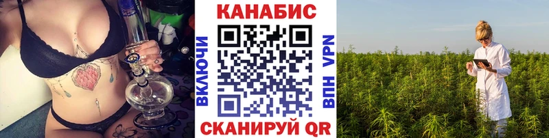 маркетплейс наркотические препараты  Нестеров  Каннабис индика  закладки 